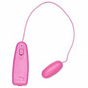 BULLET VIBRADOR COM CONTROLE